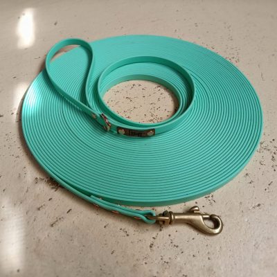 Correa de biothane lisa - 1cm de ancho