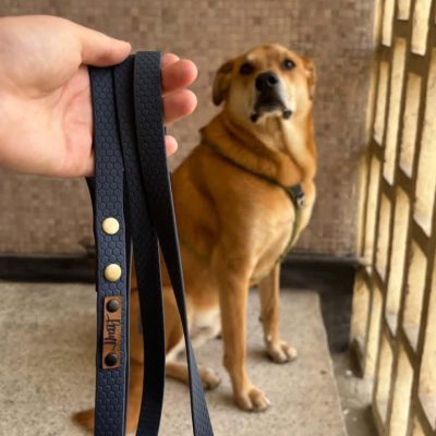 Correa de biothane lisa HEXA - 1.6cm de ancho