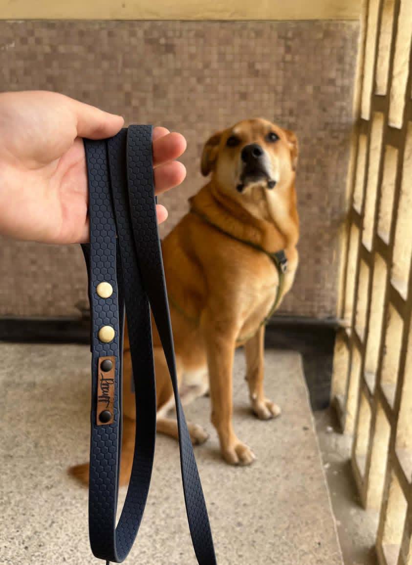 Correa de biothane lisa HEXA - 1.6cm de ancho